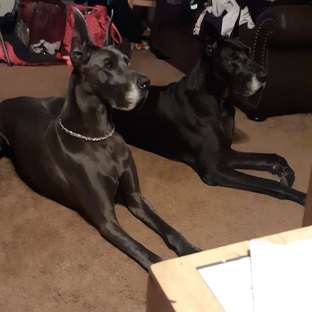 Meet your Posher, Linda